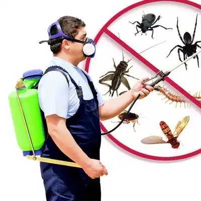 pest control Stover